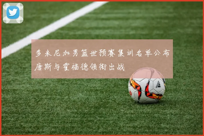 多米尼加男篮世预赛集训名单公布唐斯与霍福德领衔出战